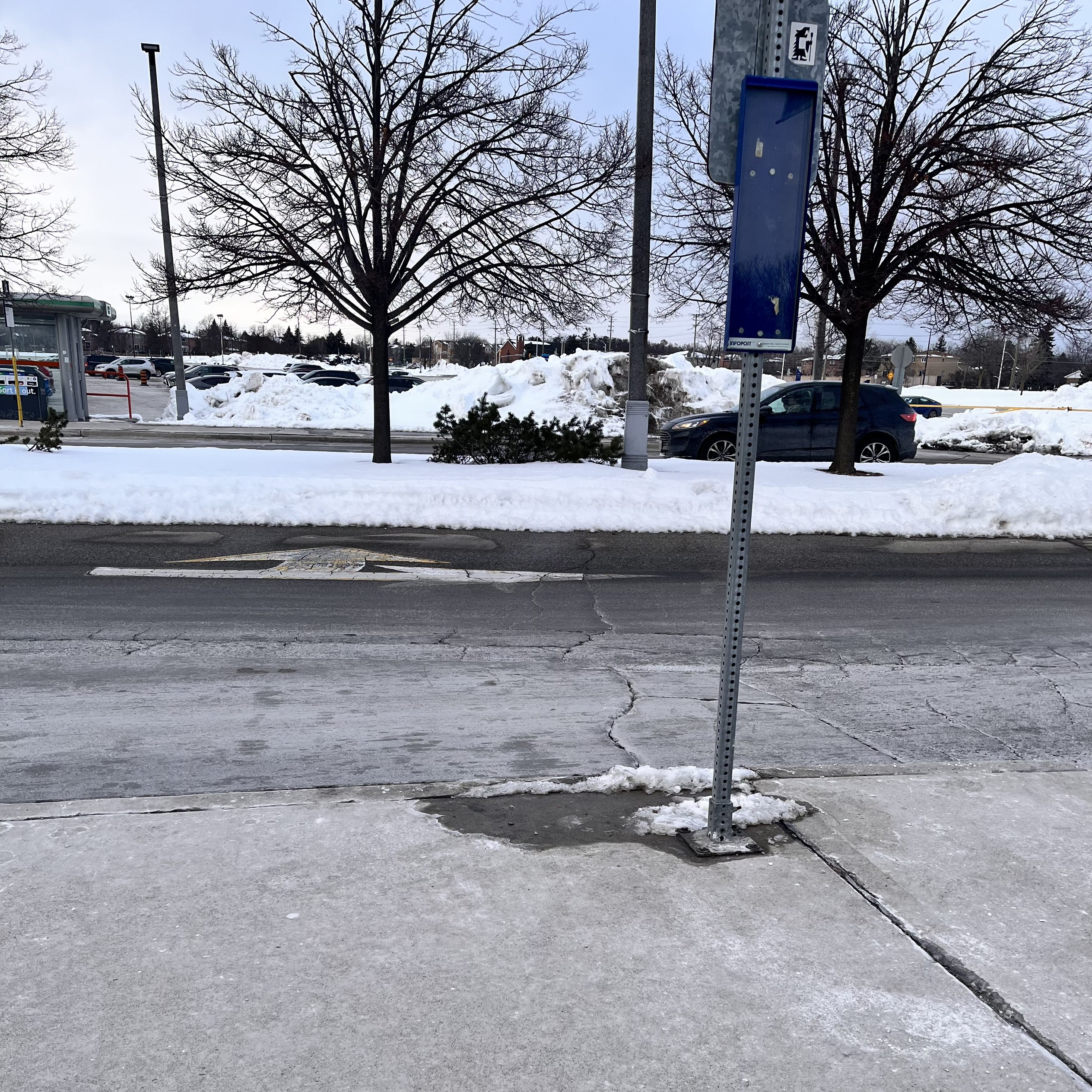 The sounds from the road, including the car noises.