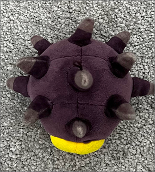 The top view of pincurchin plush