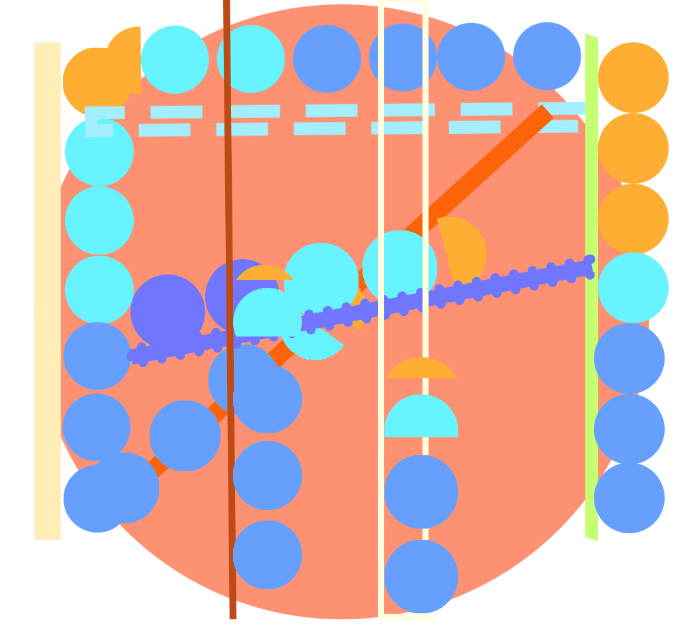 The finished image for my screen time data. The line means date, the dots means the spend time of different type of apps: Social, Entertainment, Productivity & Finance
