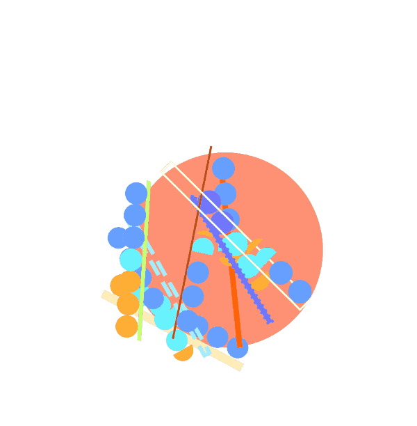 Bring my Screen Time data into code